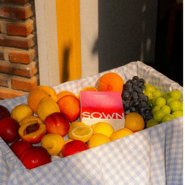 SOWN 배경 이미지