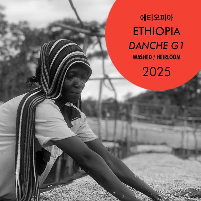 2025 에티오피아 단체 G1 워시드 대표 이미지