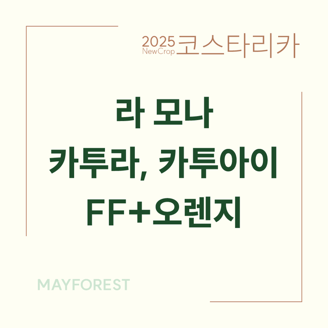 코스타리카 라 모나 FF+오렌지 대표 이미지