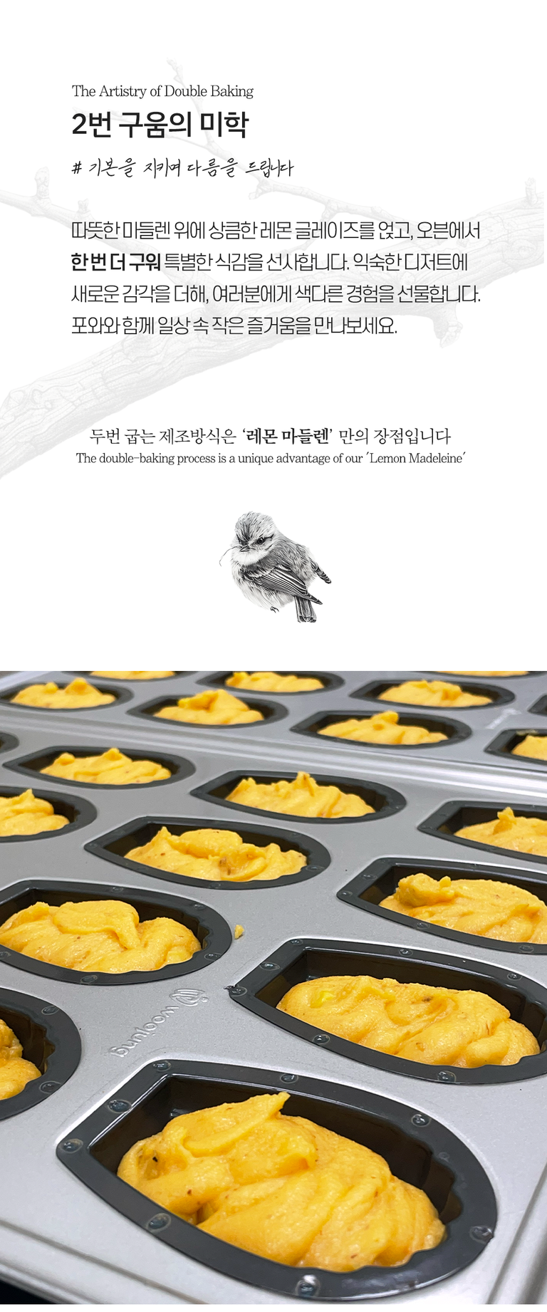상품 상세 설명 이미지