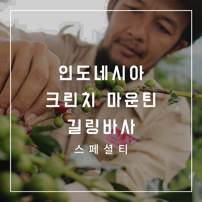인도네시아 크린치마운틴_길링바사 대표 이미지