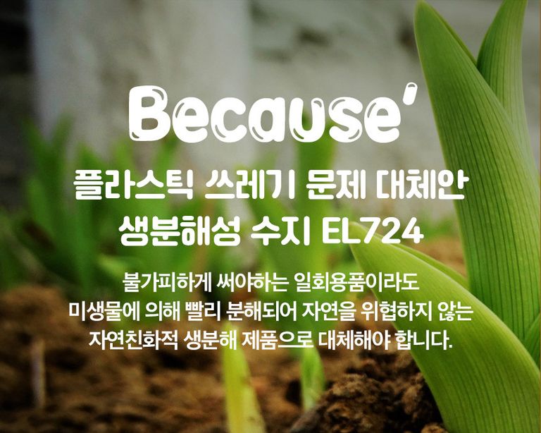 상품 상세 설명 이미지