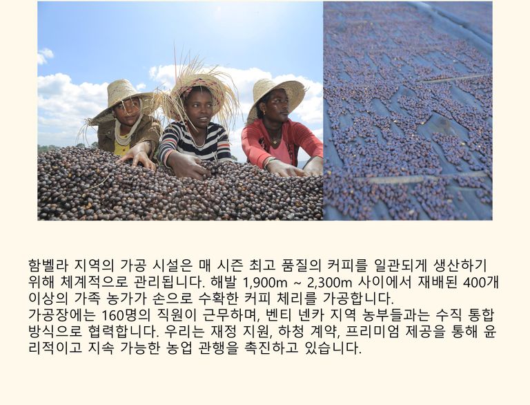 상품 상세 설명 이미지
