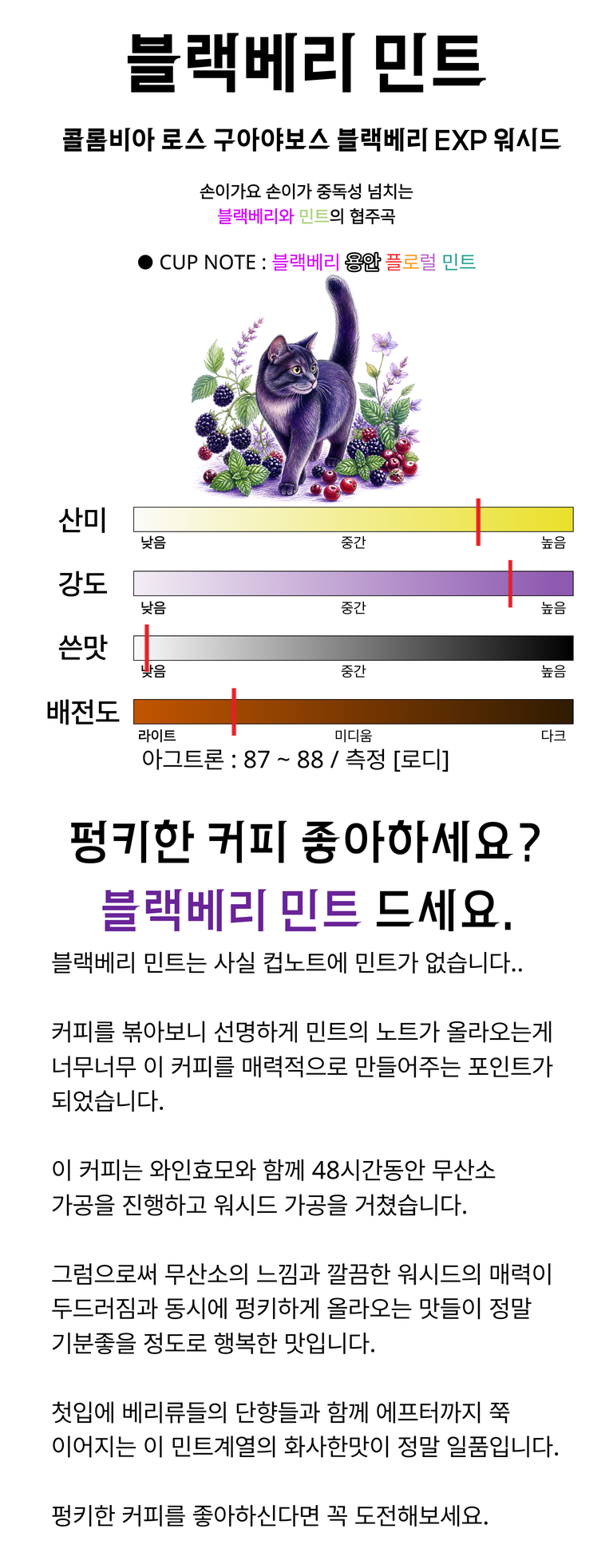 상품 상세 설명 이미지