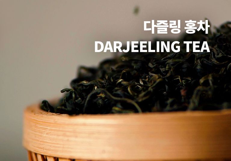 티바인 다즐링 홍차 자몽 레몬 허니 블랙티 액상-티바인 | 코케비즈