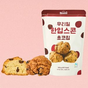 공정무역 우리밀 한입스콘 초코칩 100g 5봉 대표 이미지