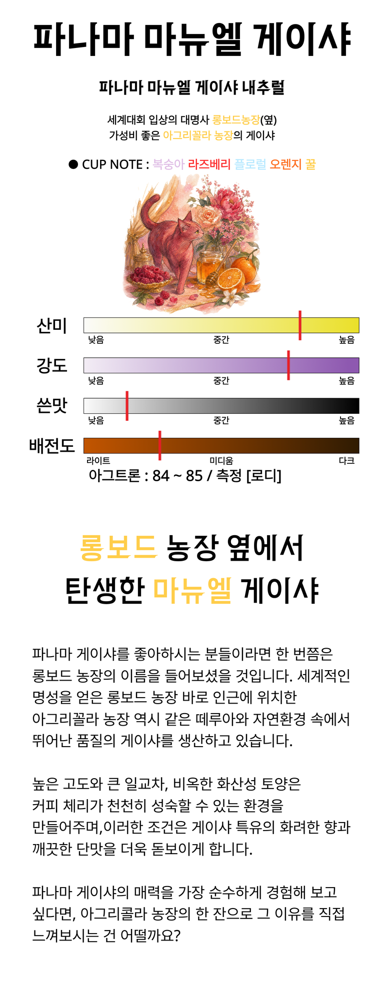 상품 상세 설명 이미지