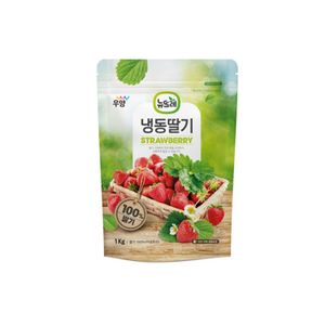 홀딸기(무가당) 중국산 1kg x 1ea 대표 이미지
