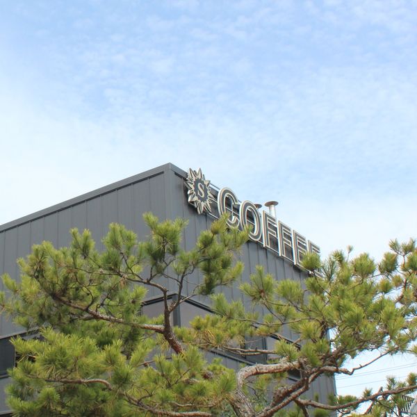 선빌리지 커피 배경 이미지