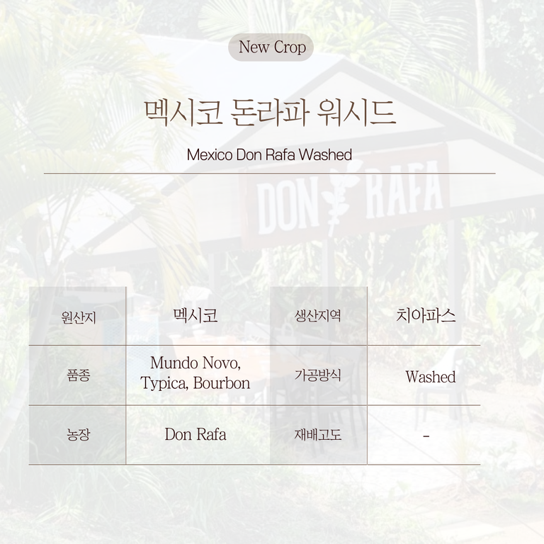 상품 상세 설명 이미지