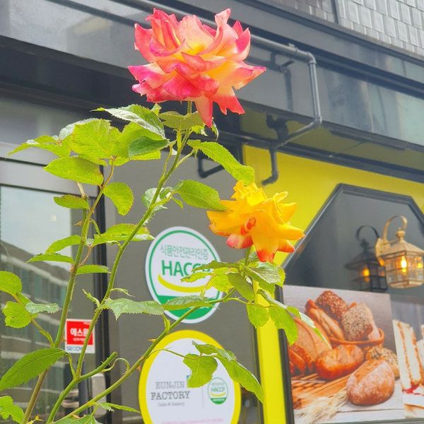 은진팩토리 배경 이미지