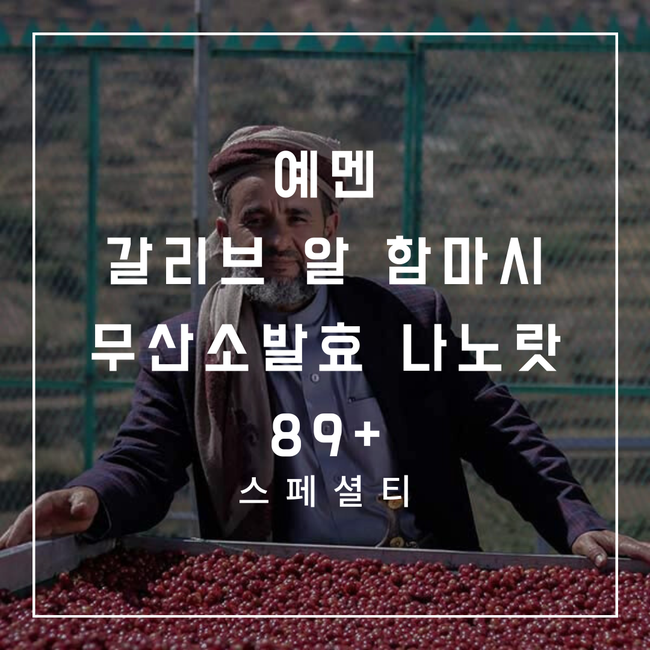 예멘 갈리브_세미-애너로빅 내추럴 나노랏 89+ 대표 이미지